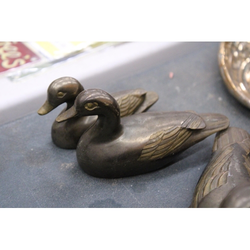 241 - THREE VINTAGE BRASS DUCKS