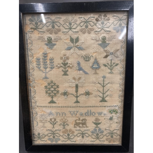 37 - TWO FRAMED VINTAGE EMBROIDERED SAMPLERS ONE ANN WADLOW LARDON SCHOOL JULY 24.1828 AND A FURTHER ANN ... 