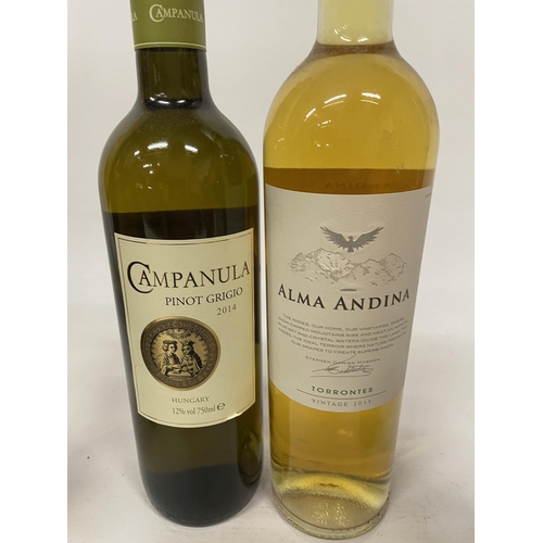 477 - SIX BOTTLES OF WHITE WINE TO INCLUDE ALMA ANDINA VINTAGE 2011, CAMPANULA PINOT GRIGIO 2014, BOURG LA... 