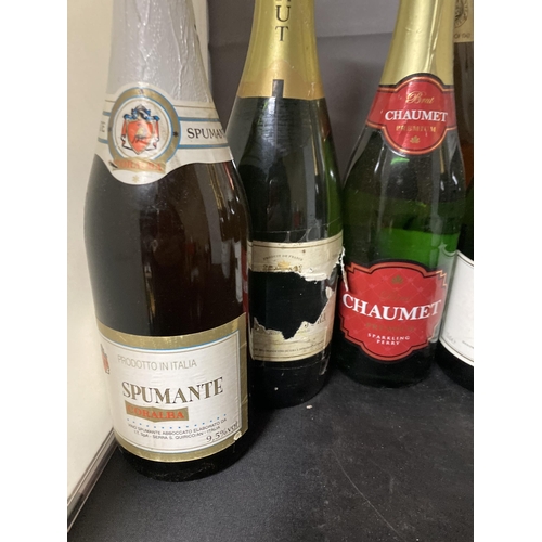 564 - SEVEN BOTTLE OF FIZZ TO INCLUDE ASTI SPUMANTE, LAMBRINI, VERDI SPUMANTE ETC