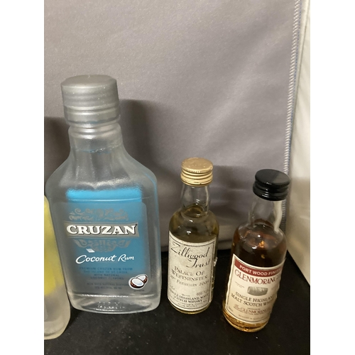 584 - A MIXED LOT OF MINIATURES TO INCLUDE A 2011 MALT SCOTCH WHISKY, TWO CRUZAN 200ML RUMS, 5CL SLOE GIN,... 