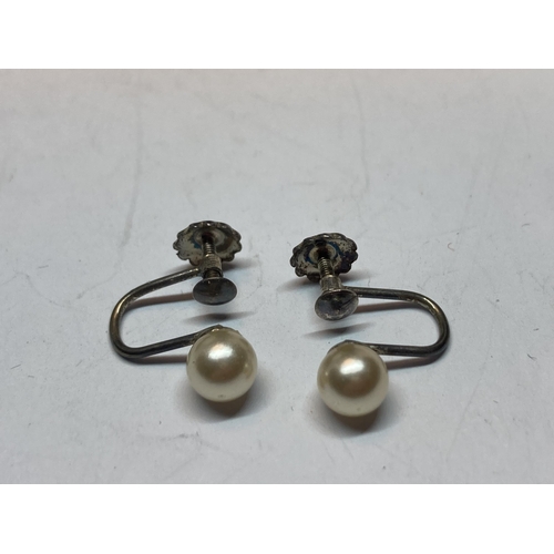 729 - A PAIR OF MARKED SILVER AND PEARL SCREW BACK EARRINGS IN A PRESENTATION BOX