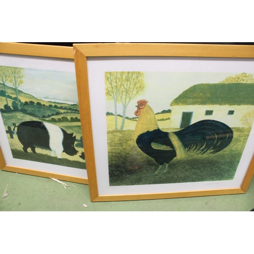 1106 - TWO FRAMED PRINTS, A SADDLEBACK PIGS WITH PIGLETS PLUS A COCKEREL