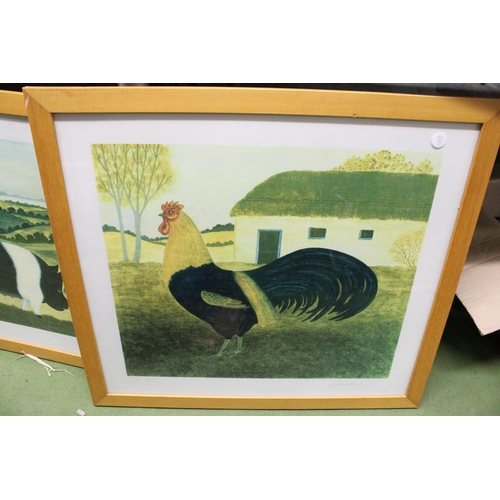 1106 - TWO FRAMED PRINTS, A SADDLEBACK PIGS WITH PIGLETS PLUS A COCKEREL