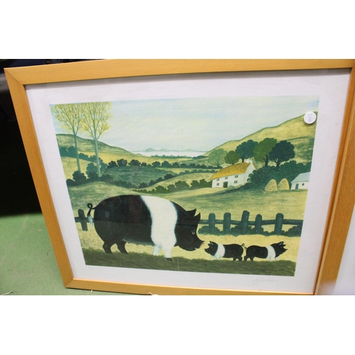 1106 - TWO FRAMED PRINTS, A SADDLEBACK PIGS WITH PIGLETS PLUS A COCKEREL