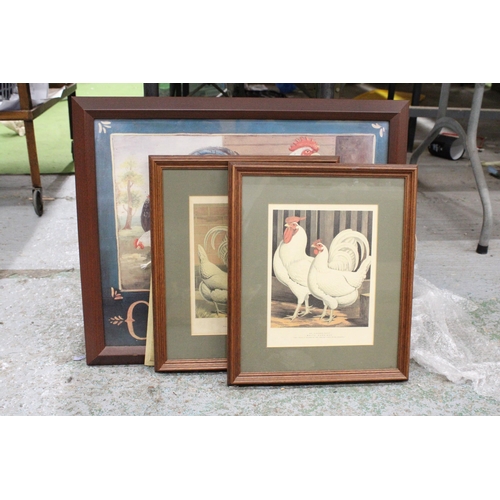 1182 - THREE FRAMED PRINTS OF CHICKENS