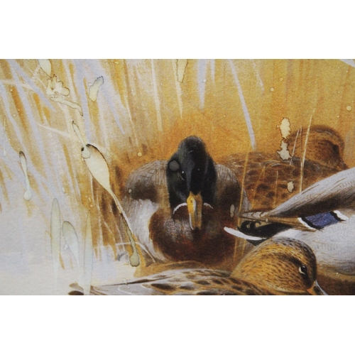 1183 - A LARGE LIMITED EDITION PRINT, 30/195, 'MALLARD AND TEAL, BY ARCHIBALD THORBURN, 89CM X 65CM