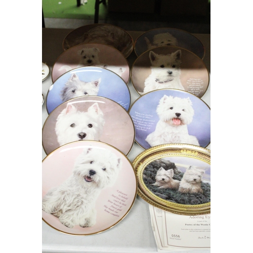 1203 - A COLLECTION OF DANBURY MINT COLLECTOR'S PLATES FROM THE POETRY OF THE WESTIE COLLECTION RIMMED WITH... 