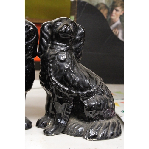 1316 - TWO LARGE CERAMIC DOG FIGURINES OF A KING CHARLES SPANIEL