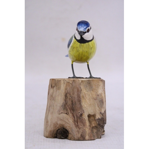 257 - A WOODEN BLUE TIT ON A WOODEN BASE, HEIGHT 15CM