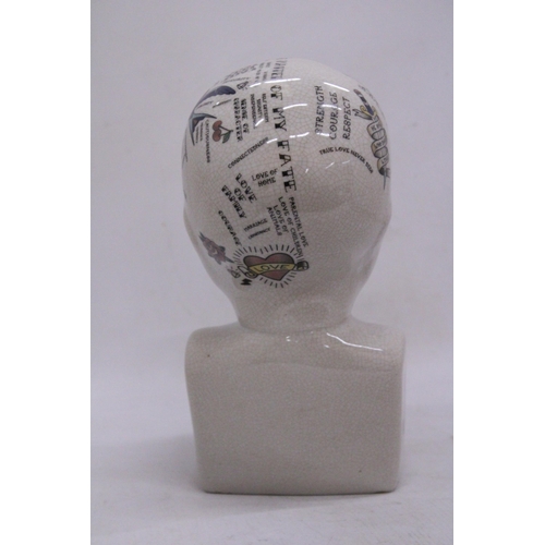 914 - A LARGE PHRENOLOGY HEAD