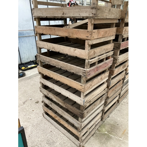 1701 - TEN VINTAGE POTATO SPRITTING BOXES