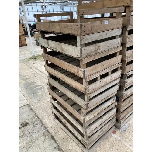 1709 - NINE VINTAGE POTATO SPRITTING BOXES