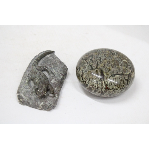 65 - TWO ITEMS OF LIZARD SERPENTINE TO INCLUDE A PAPERWEIGHT BY DAVID HILL AND A LIZARD