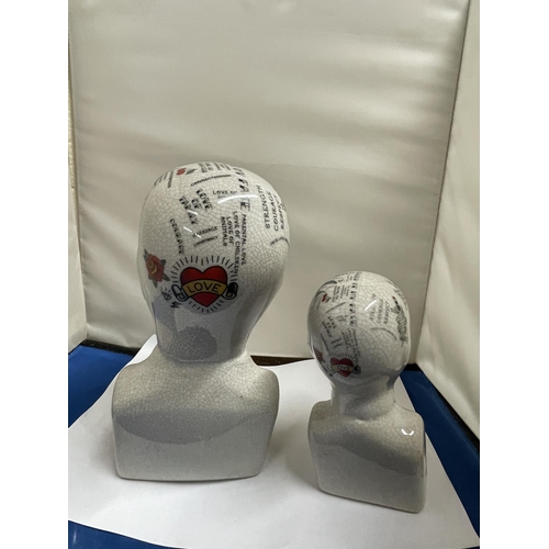 11 - TWO PHRENOLOGY HEADS