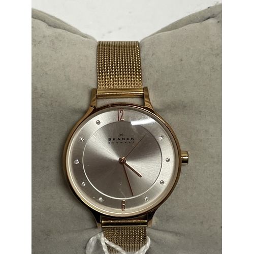 27 - A SKAGEN WRIST WATCH