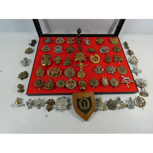 370 - A COLLECTION OF SIXTY BRITISH ARMY CAP BADGES TO INCLUDE RAMC, ROYAL ARTILLERY, 42ND REGIMENT, COLDS... 