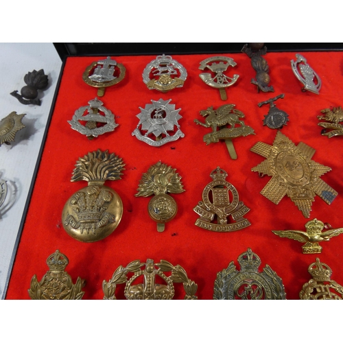 370 - A COLLECTION OF SIXTY BRITISH ARMY CAP BADGES TO INCLUDE RAMC, ROYAL ARTILLERY, 42ND REGIMENT, COLDS... 