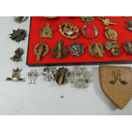 370 - A COLLECTION OF SIXTY BRITISH ARMY CAP BADGES TO INCLUDE RAMC, ROYAL ARTILLERY, 42ND REGIMENT, COLDS... 