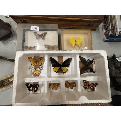 1299 - TWELVE TAXIDERMY BUTTERFLIES