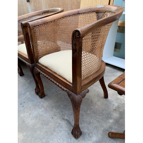 3046 - A PAIR OF BERGERE TUB CHAIRS WITH FRONT CABRIOLE LEGS WITH BALL AND CLAW FEET