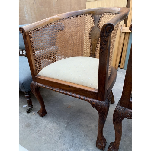 3046 - A PAIR OF BERGERE TUB CHAIRS WITH FRONT CABRIOLE LEGS WITH BALL AND CLAW FEET