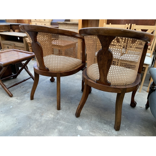 3046 - A PAIR OF BERGERE TUB CHAIRS WITH FRONT CABRIOLE LEGS WITH BALL AND CLAW FEET