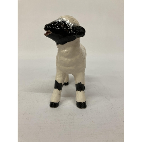 801 - AN ANITA HARRIS BLACK AND WHITE LAMB SIGNED IN GOLD