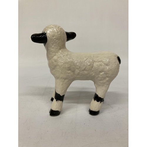 801 - AN ANITA HARRIS BLACK AND WHITE LAMB SIGNED IN GOLD