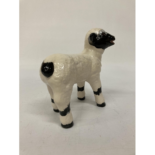 801 - AN ANITA HARRIS BLACK AND WHITE LAMB SIGNED IN GOLD