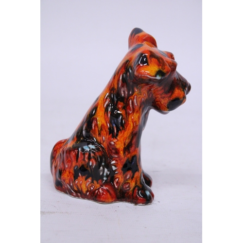 802 - AN ANITA HARRIS TERRIER DOG SIGNED IN GOLD