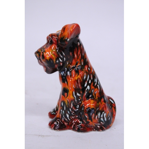 802 - AN ANITA HARRIS TERRIER DOG SIGNED IN GOLD