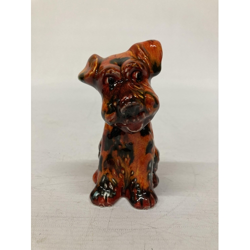 802 - AN ANITA HARRIS TERRIER DOG SIGNED IN GOLD