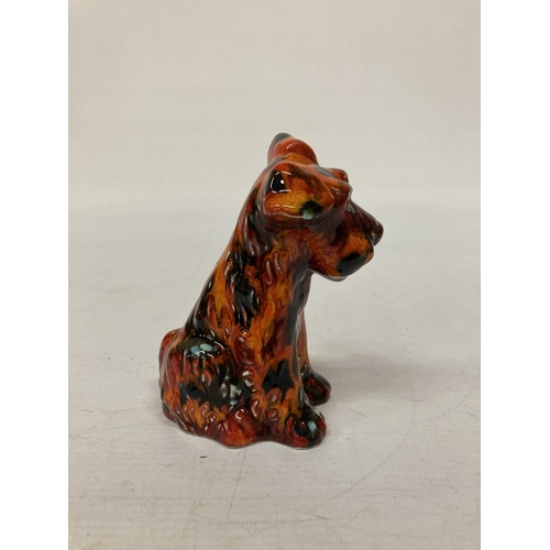 802 - AN ANITA HARRIS TERRIER DOG SIGNED IN GOLD