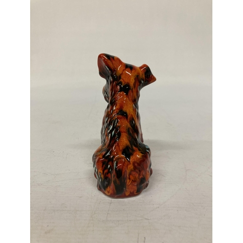 802 - AN ANITA HARRIS TERRIER DOG SIGNED IN GOLD