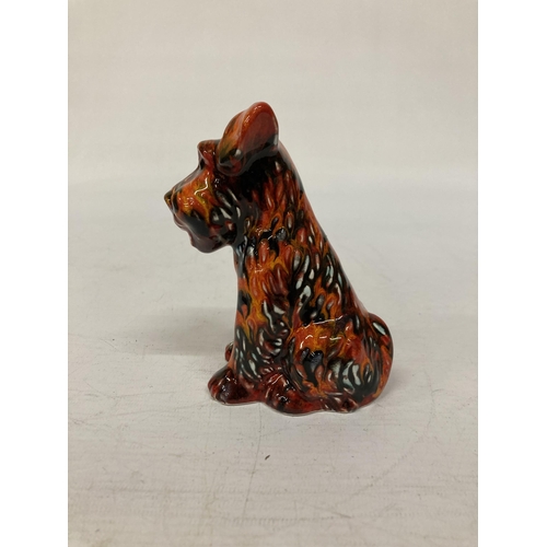 802 - AN ANITA HARRIS TERRIER DOG SIGNED IN GOLD