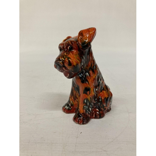 802 - AN ANITA HARRIS TERRIER DOG SIGNED IN GOLD