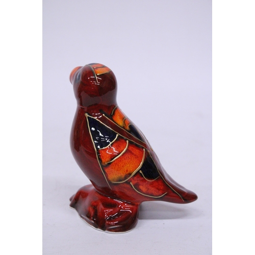 803 - AN ANITA HARRIS PUFFIN SIGNED IN GOLD