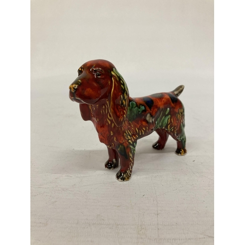 804 - AN ANITA HARRIS SPANIEL DOG SIGNED IN GOLD