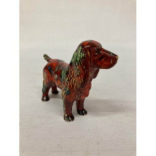 804 - AN ANITA HARRIS SPANIEL DOG SIGNED IN GOLD