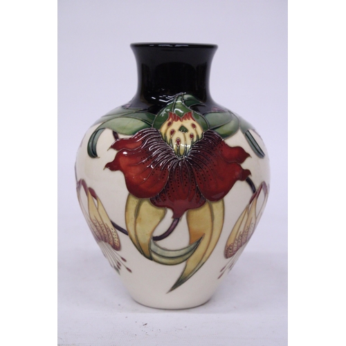 813 - A MOORCROFT ANNA LILY VASE 18 CM