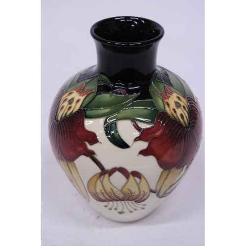 813 - A MOORCROFT ANNA LILY VASE 18 CM