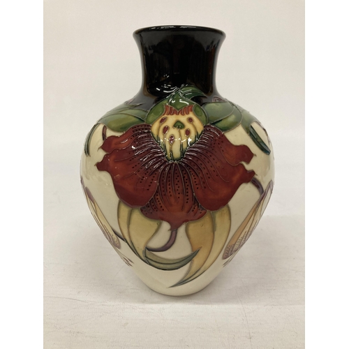 813 - A MOORCROFT ANNA LILY VASE 18 CM