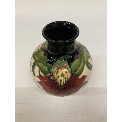 813 - A MOORCROFT ANNA LILY VASE 18 CM