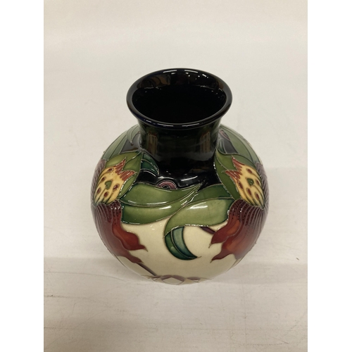 813 - A MOORCROFT ANNA LILY VASE 18 CM