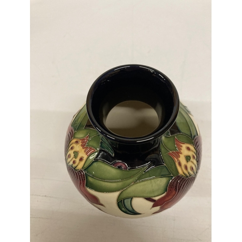 813 - A MOORCROFT ANNA LILY VASE 18 CM