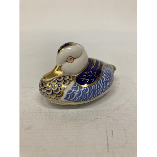 819 - A ROYAL CROWN DERBY DUCK WITH SILVER STOPPER