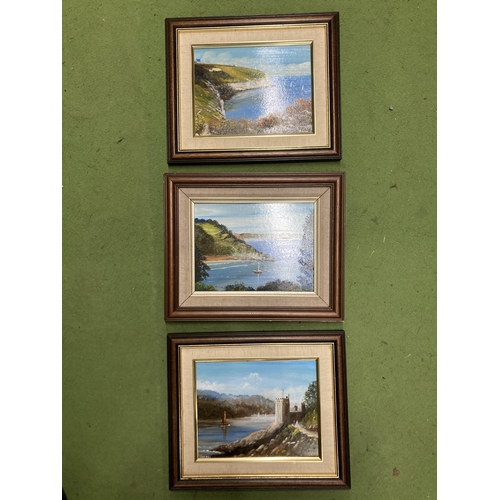 1180 - THREE OIL PAINTINGS ON BOARD BY THE ARTIST ROYSTON TO INCLUDE, BERRY HEAD, BRIXHAM 1989, CHURSTON CO... 