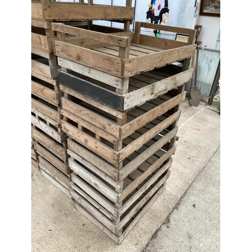 1709 - NINE VINTAGE POTATO SPRITTING BOXES