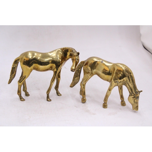 116 - A PAIR OF BRASS HORSES